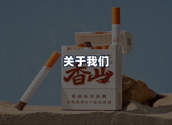 关于我们